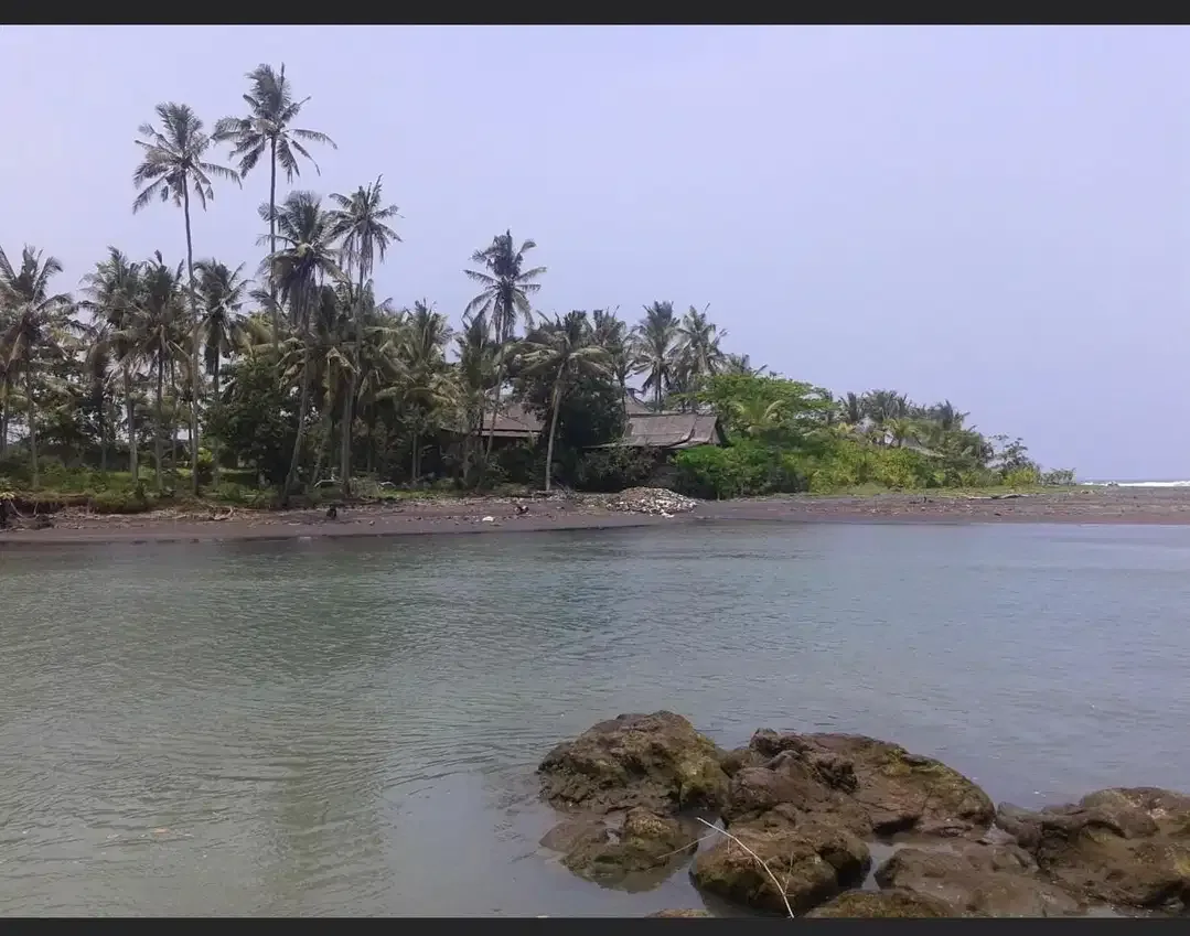 DIJUAL TANAH LOS PANTAI BERABAN DAN SUNGAI DI TABANAN - Image 8 of 10