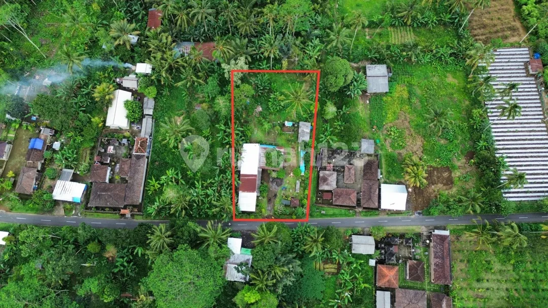 Dijual Lahan Diutara Ubud Lokasi Tegalalang SHM View Jungle Hutan - Image 1 of 4