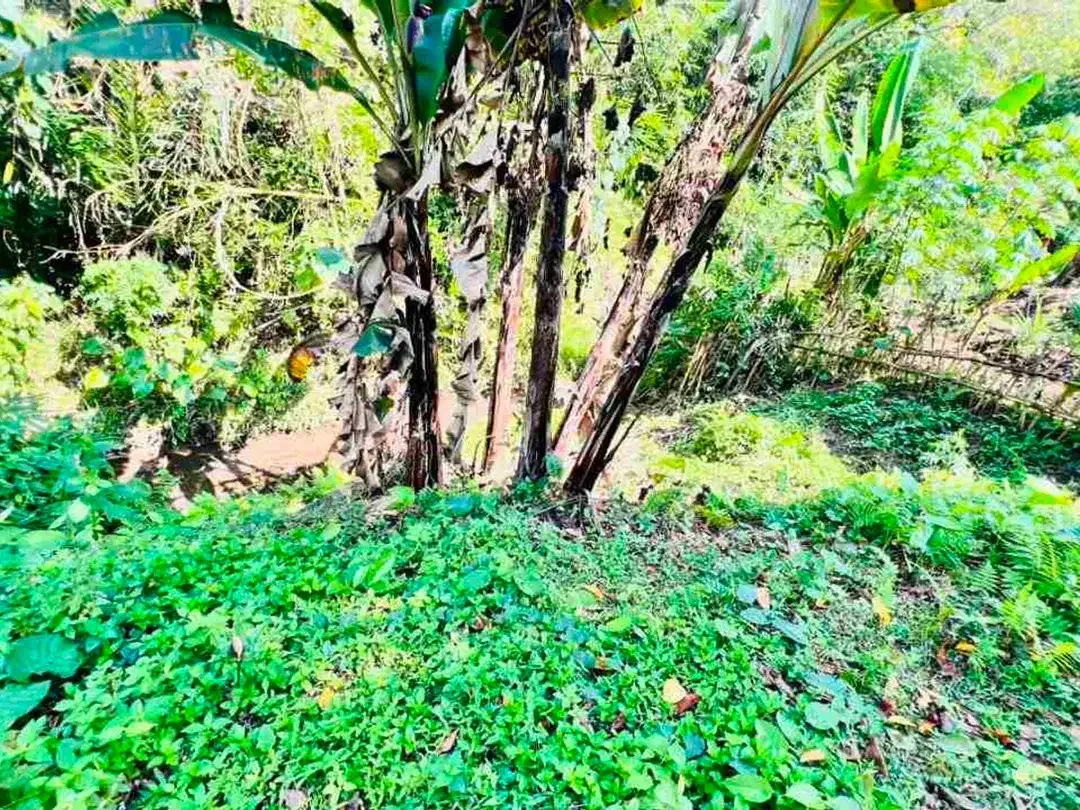 jual tanah dan rumah di desa wisata manikyang tabanan bali - Image 5 of 10