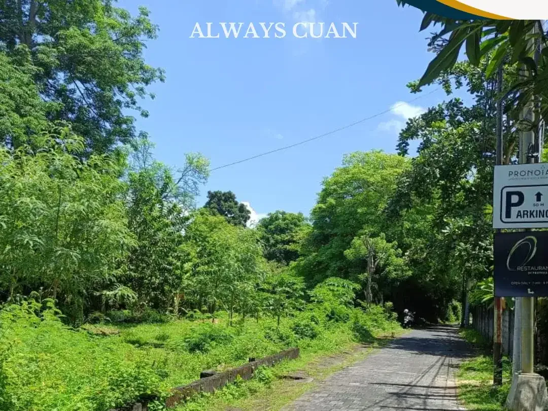 Land For Leasehold dengan Spot Langsung ke Pantai, Siap Bangun - Image 1 of 8