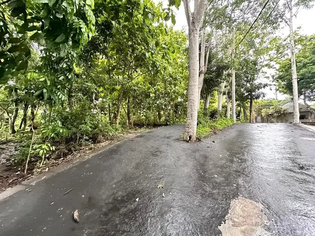 Tanah MURAH Lingkungan Villa Jl Belimbing Sari Pecatu - Image 3 of 10