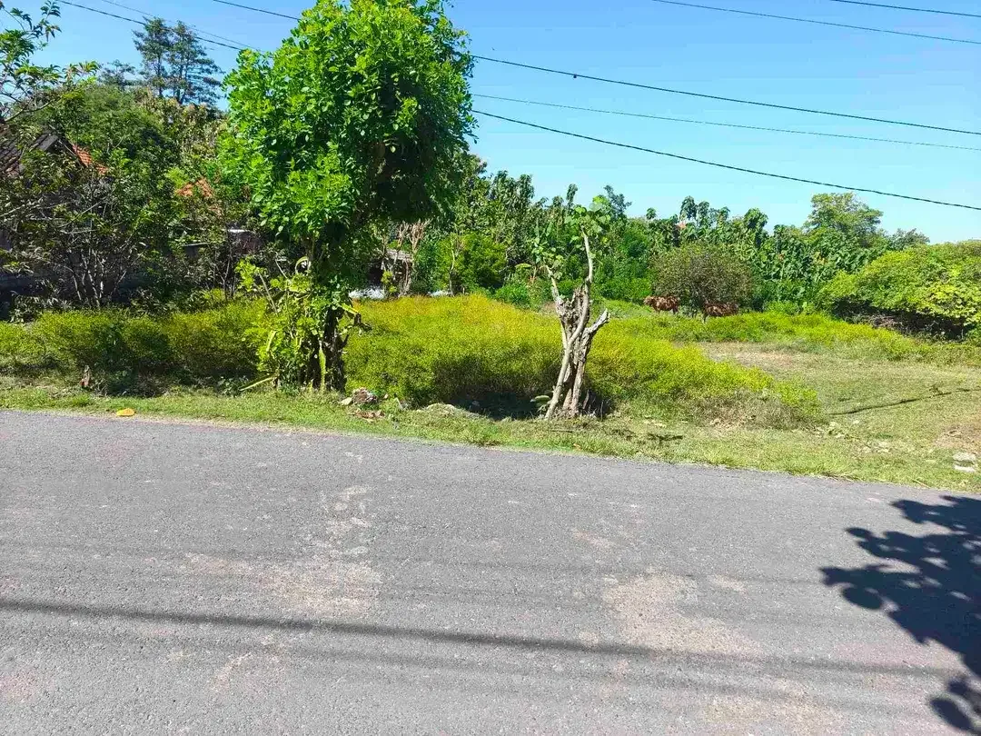 dijual tanah 5,44 are IDR 600 juta per are kawasan pantai gunung payung Pandawa beach Kutuh Badung Bali - Image 1 of 9