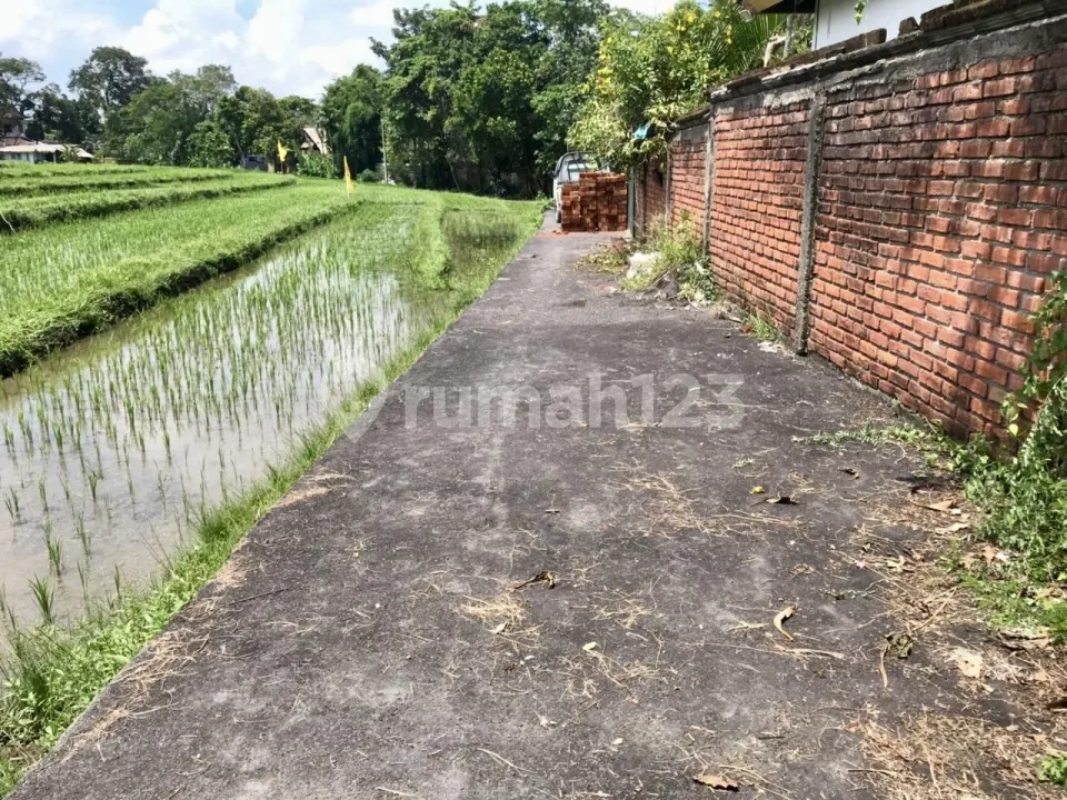 Tanah Murah Di Umalas Lingkungan Villa Luas 21are - Image 4 of 4