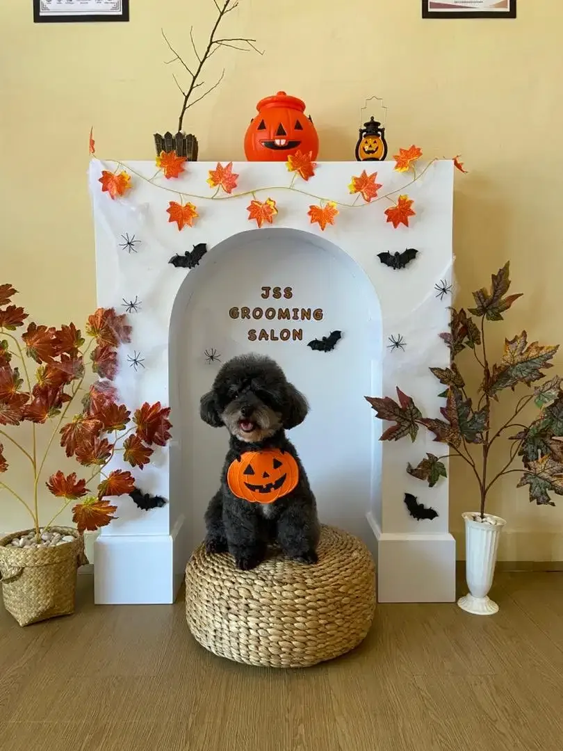 JSS Pet grooming  salon - Image 2 of 9