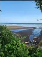 tanah 1,4 hektar di pantai pasut Tabanan - Image 3 of 7