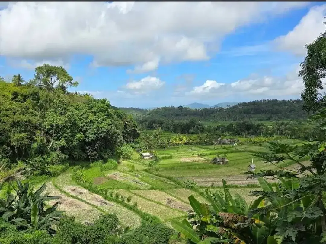 Land leasehold 1ha riceview Tirtagangga ababi karangasem - Image 1 of 6