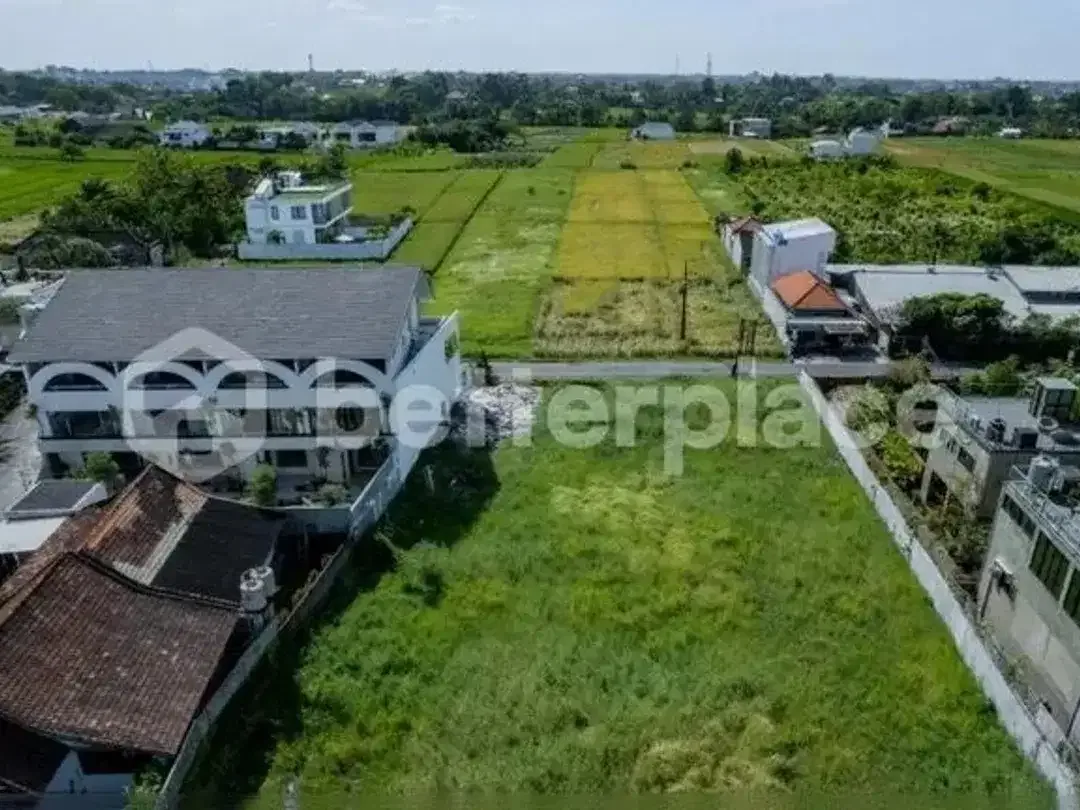 A Rare Coastal Investment in Kedungu: Prime Leasehold 5.3 are Land with Rice Field Views Just Moments from the Beach - Image 2 of 7