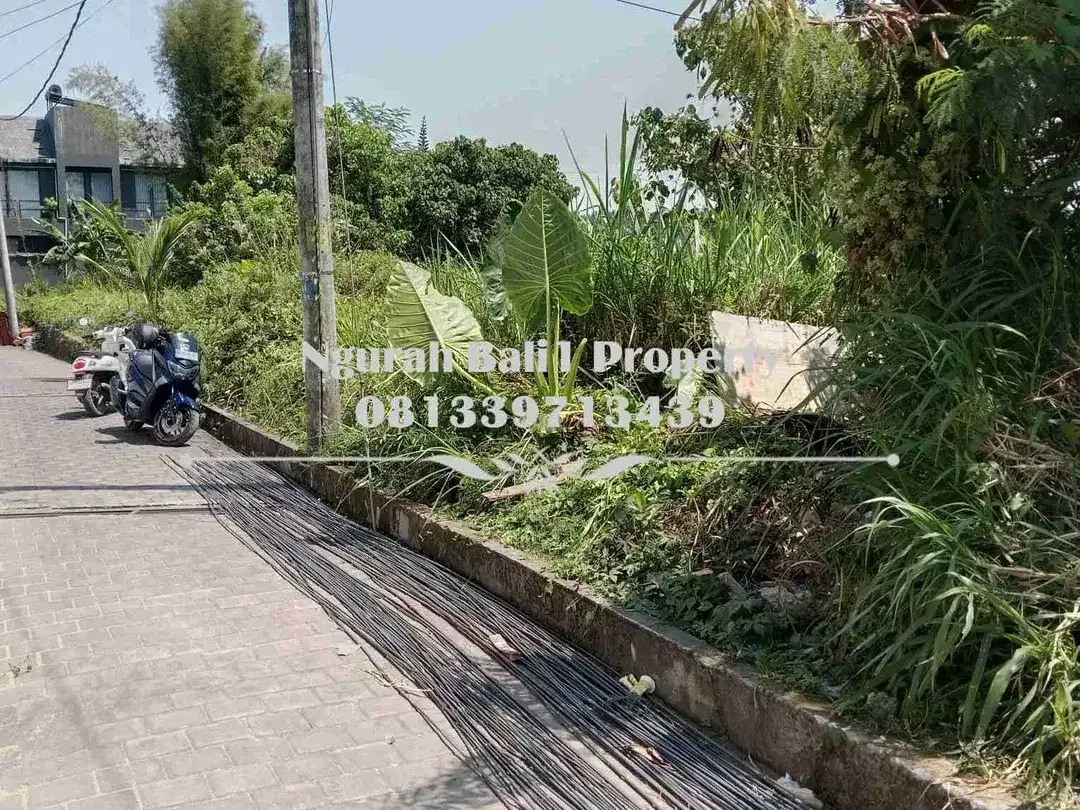 Dijual Tanah Murah Luas 3 Are View Sawah Kawasan Villa di Mas Ubud - Image 2 of 6