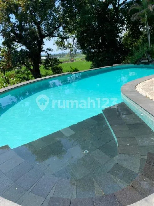 Villa Dijual Lokasi Seririt Buleleng - Image 2 of 4