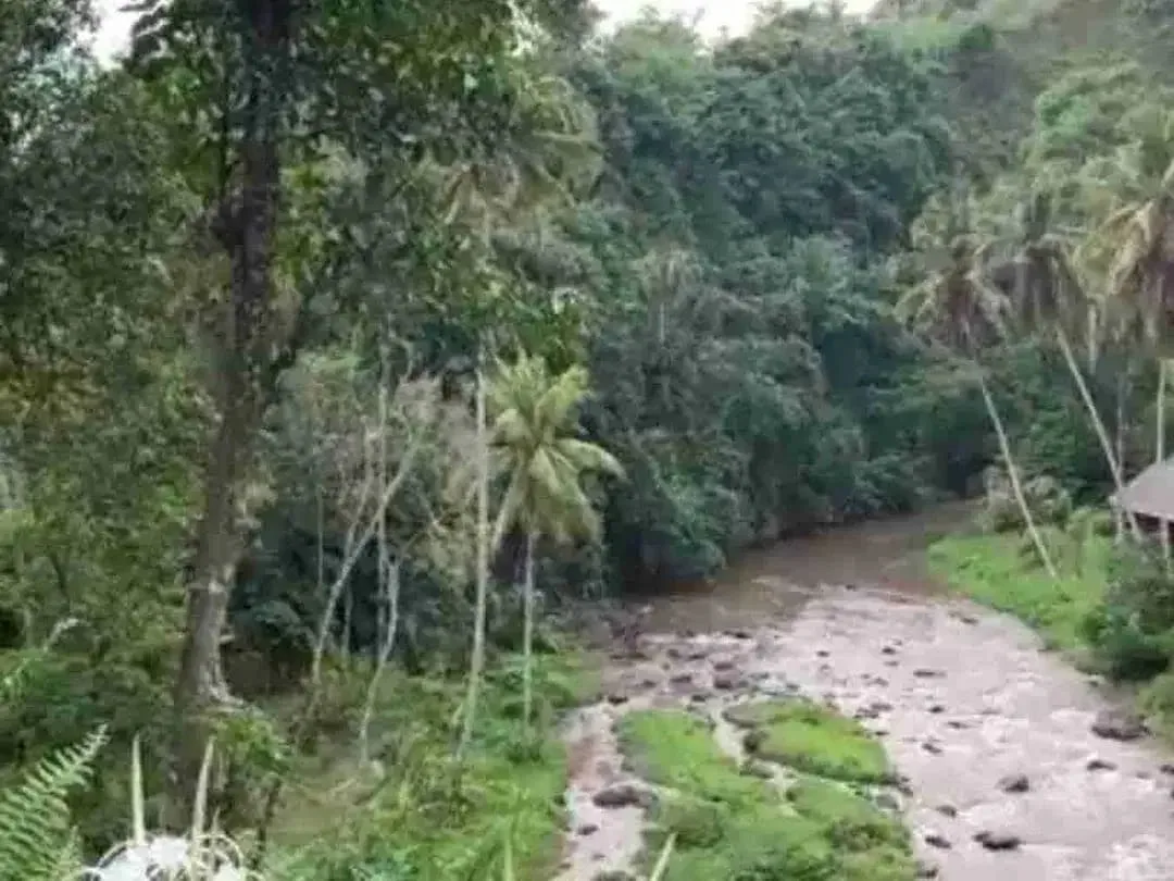 Tanah Komersial Los Sungai Ayung Dekat Mandapa Ubud - Image 7 of 10