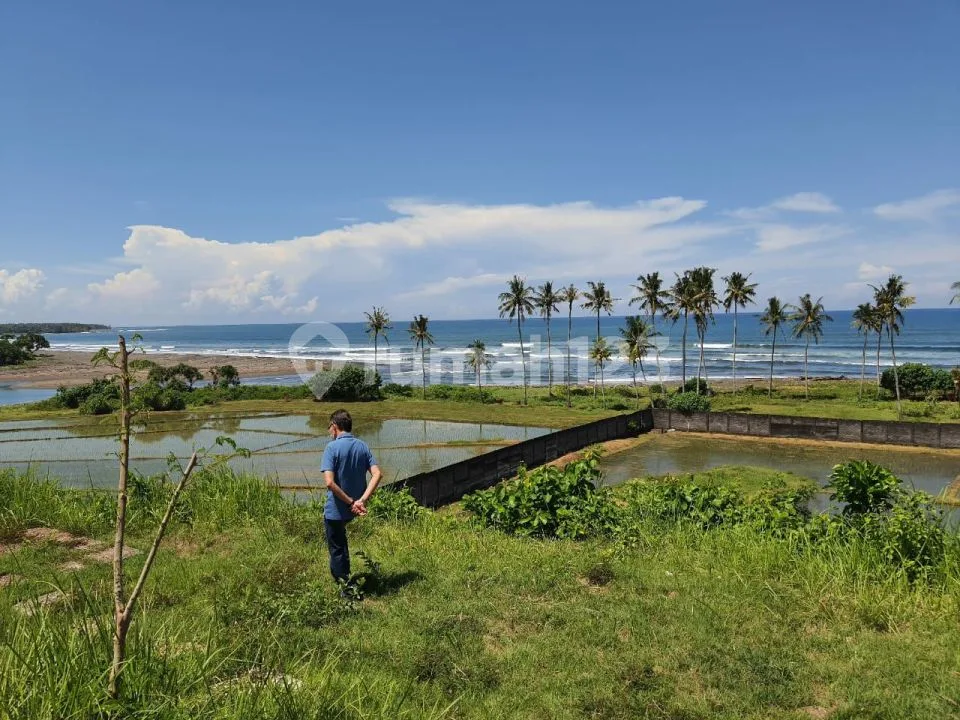 Tanah Dijual / Disewa / Dikerjasamakan - Image 3 of 4