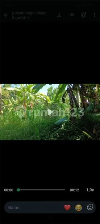 Dijual Tanah Area Tegalalang Ubud Utara Bagus - Image 4 of 4