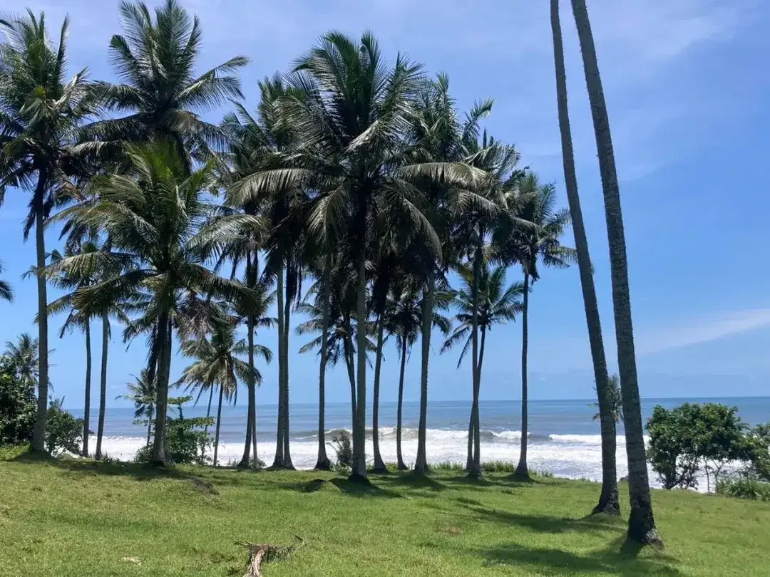Freehold - Beachfront Land in Great Location Antap Tabanan - Image 3 of 5