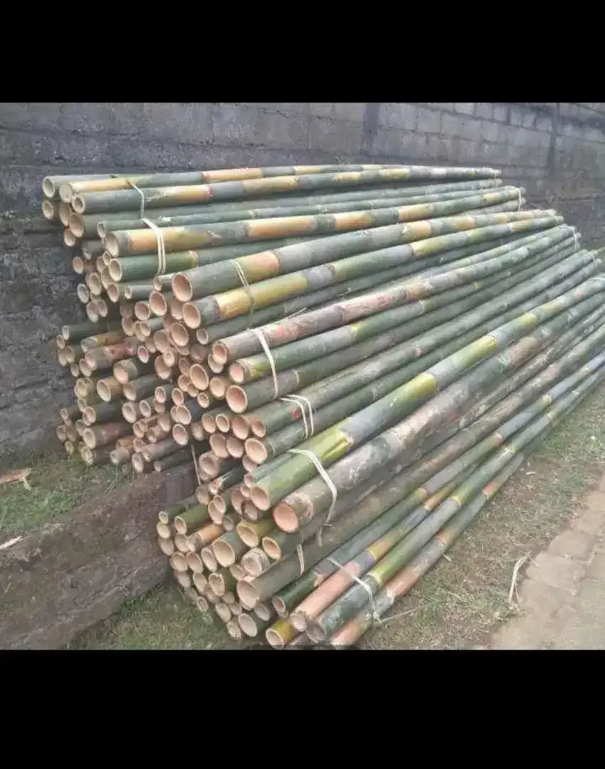 Dijual kayu dan bambu - Image 2 of 2