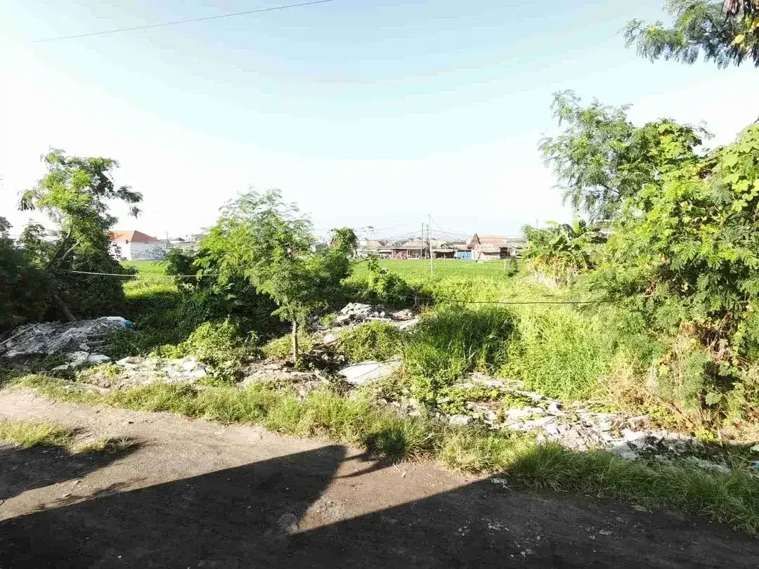 Tanah strategis dekat dengan pantai lima - Image 1 of 8