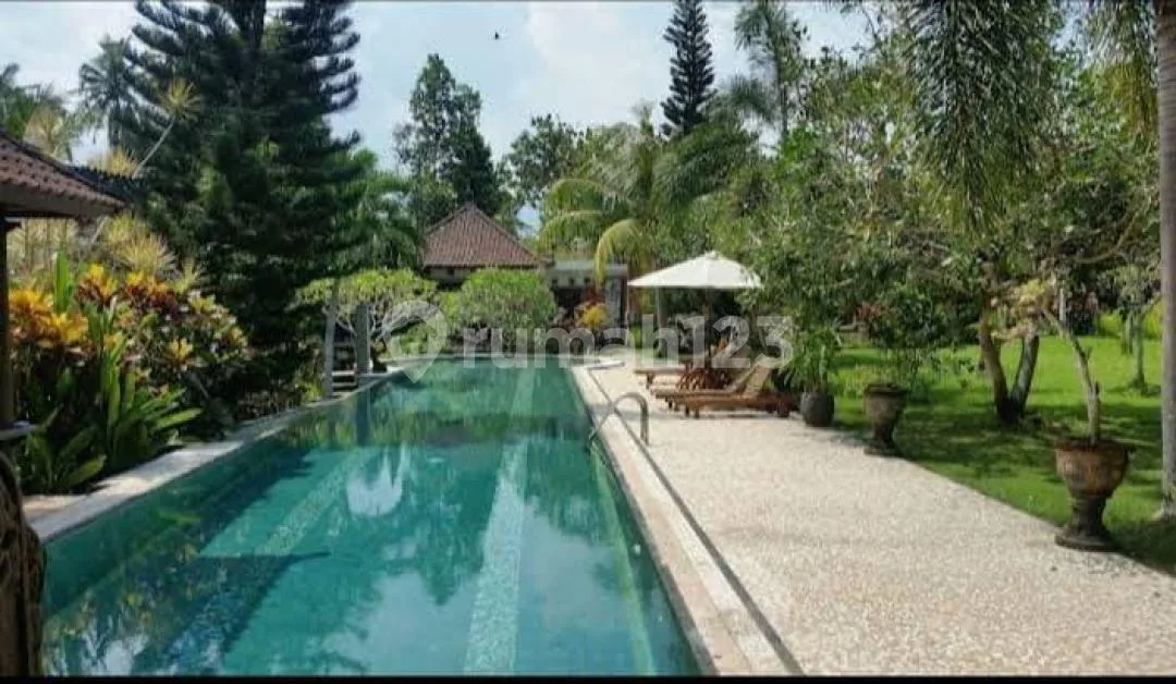 Villa Mewah 6 Unit View Sawah dan River Side Dgn Pool, Singapadu - Image 3 of 4