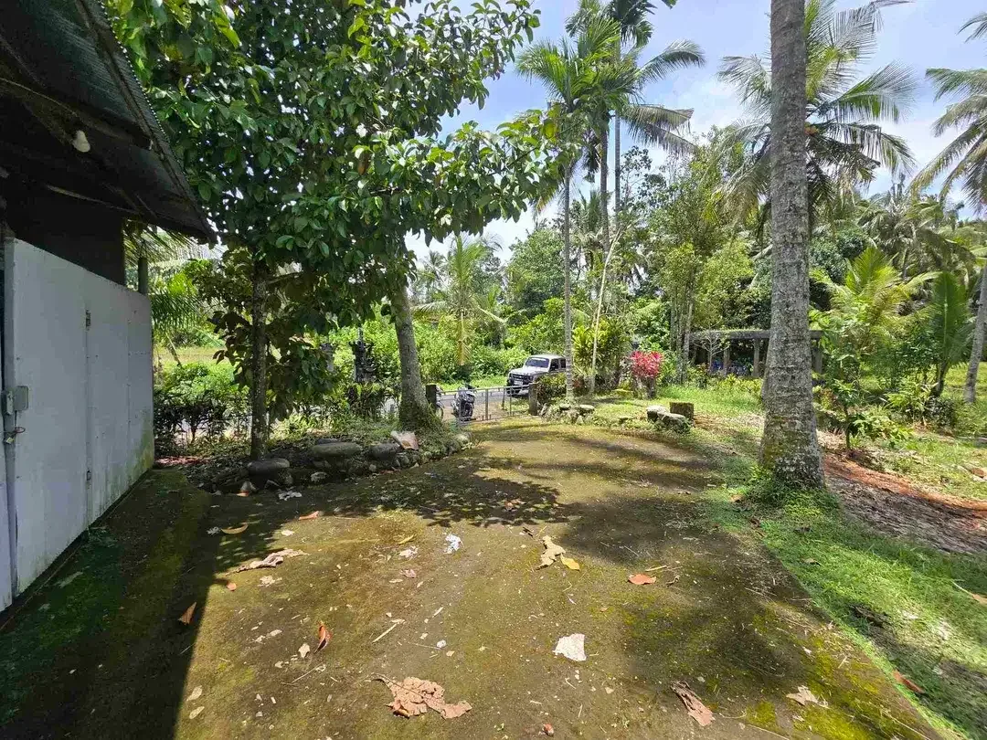 Dijual tanah view sawah zona kuning di kerambitan tabanan bali - Image 6 of 10