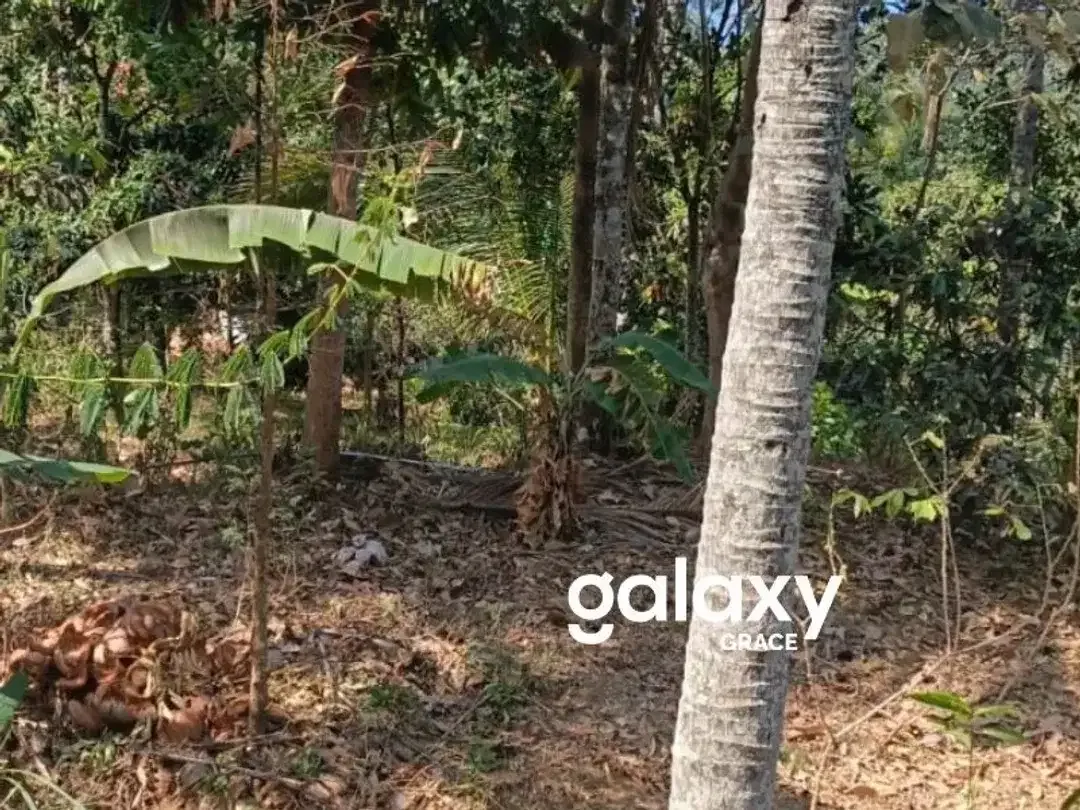 DIJUAL TANAH DI KUBUTAMBAHAN BULELENG - Image 1 of 6