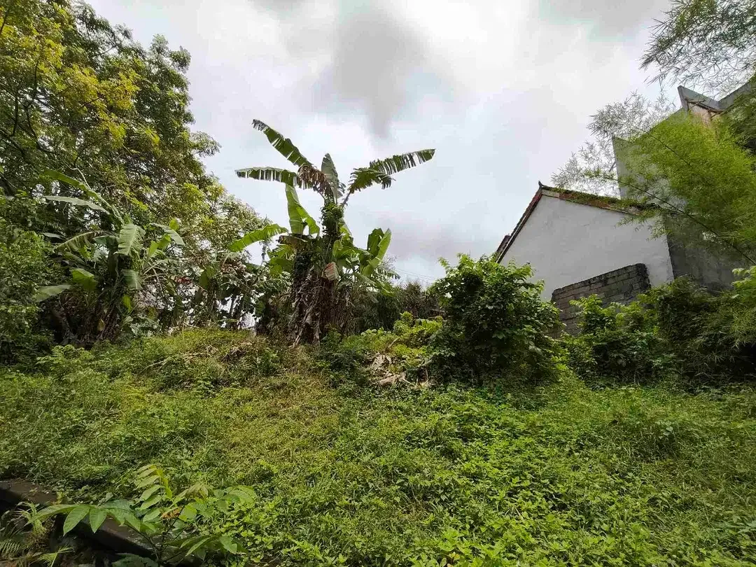 Yellow Zone Land close Nirmala Ungasan and Main Road Balangan Beach - Image 5 of 6