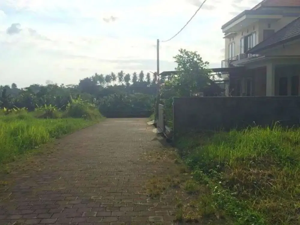 DIJUAL TANAH VIEW SAWAH KAWASAN VILLA - Image 3 of 6