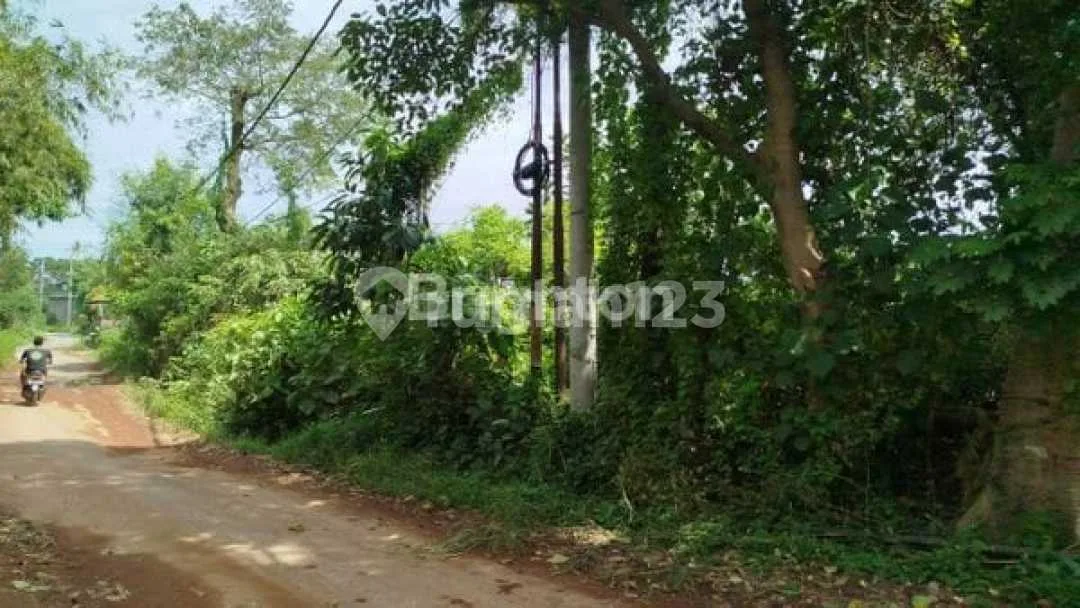 Tanah 14 Are Keramas Akses 6M Dekat Ib Mantra SHM Turun Harga - Image 1 of 4
