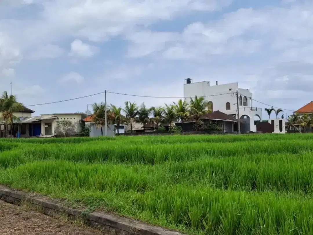 Tanah 5 Are Lokasi Premium Dijual di Kedungu, Tabanan. - Image 1 of 6