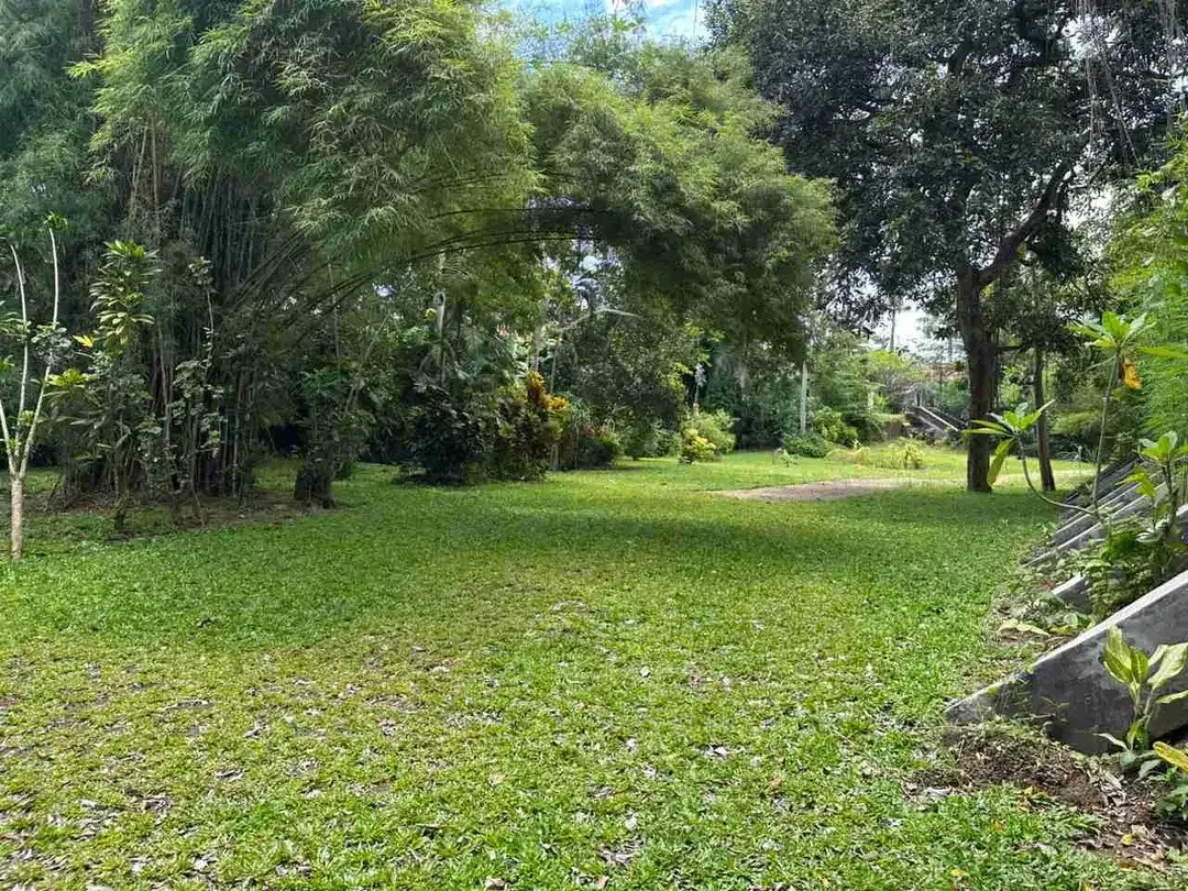 DIJUAL TANAH STRATEGIS DI KEROBOKAN BALI
Kesempatan menarik untuk mendapatkan lahan luas di kawasan strategis Kerobokan dengan 10 Are Leasehold GRATIS. - Image 8 of 10