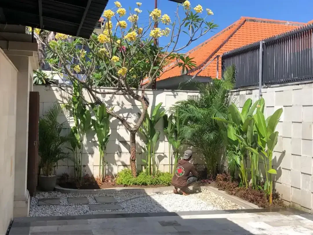 Villa di sewa atau di jual - Image 4 of 4