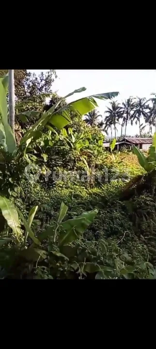 Tanah Murah Lingkungan Wissta Yg Nyaman di Ubud - Image 3 of 4