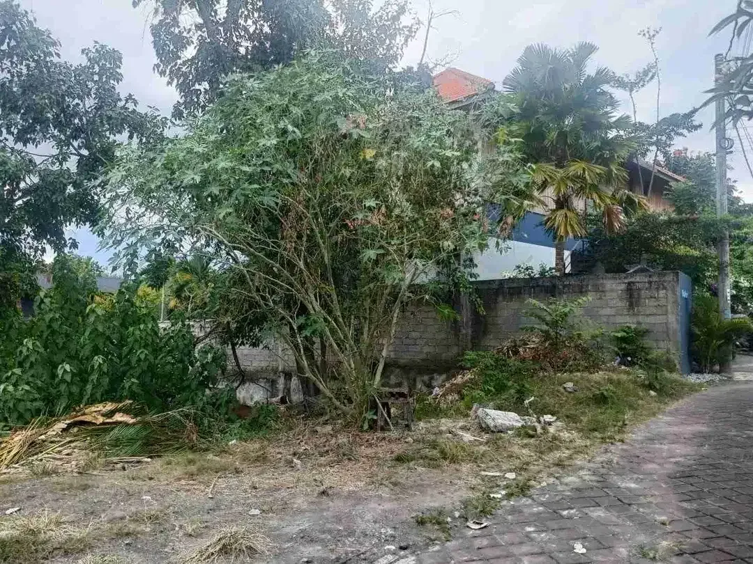 tanah bagus cocok untuk investasi komersil dekat pantai - Image 5 of 7