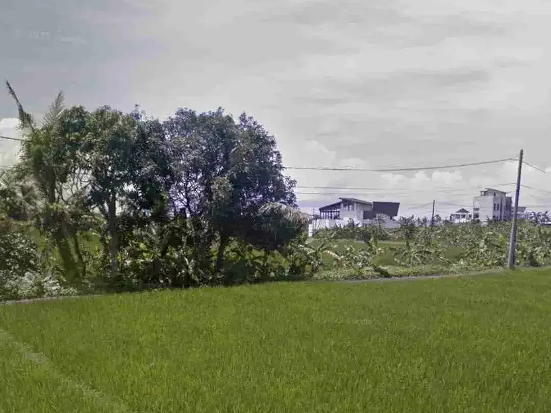TANAH DIJUAL ZONA PARIWISATA LOKASI PANTAI CEMAGI - BALI - Image 3 of 5