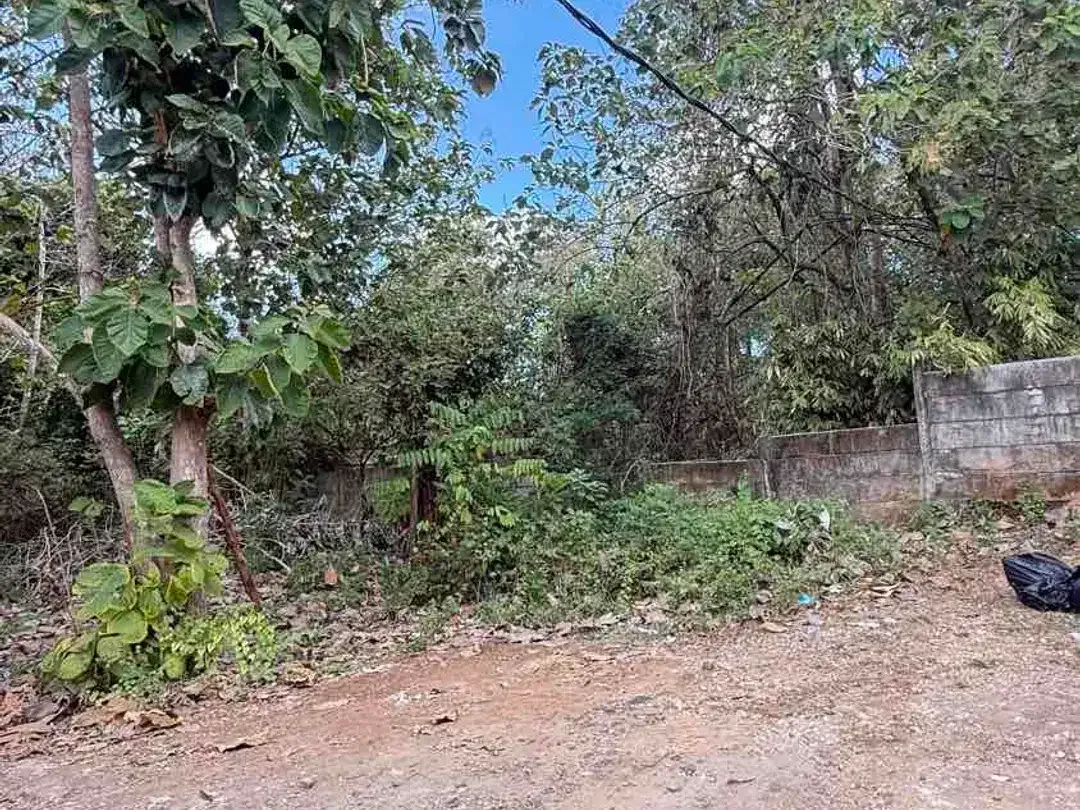 DIJUAL TANAH 2 MENIT KE KAMPUS UNUD JIMBARAN – COCOK UNTUK KOS & GUESTHOUSE - Image 9 of 10