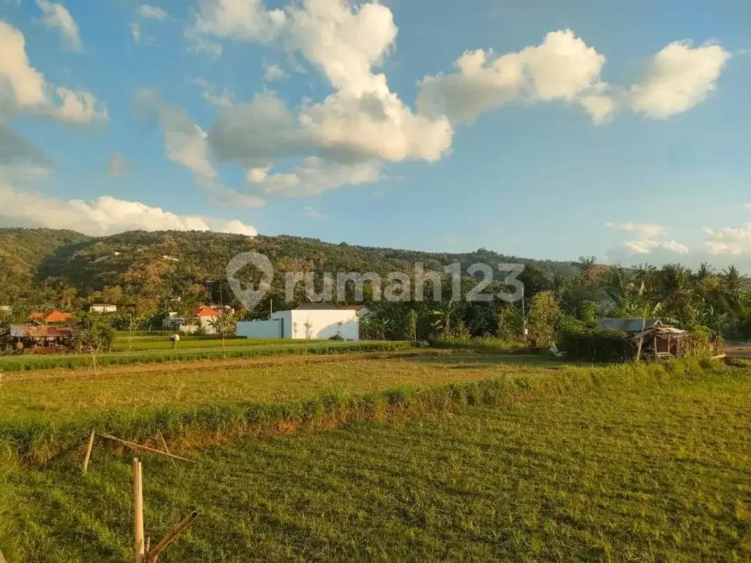 For Sale Freehold Villa Baru For Sale Lovina Central - Image 10 of 10