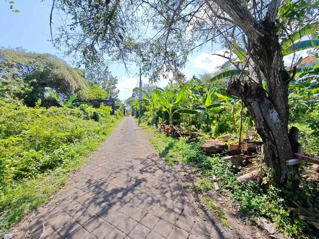 Tanah Lingkungan Villa Jl Gedong Sari Nusa Dua - Image 2 of 10