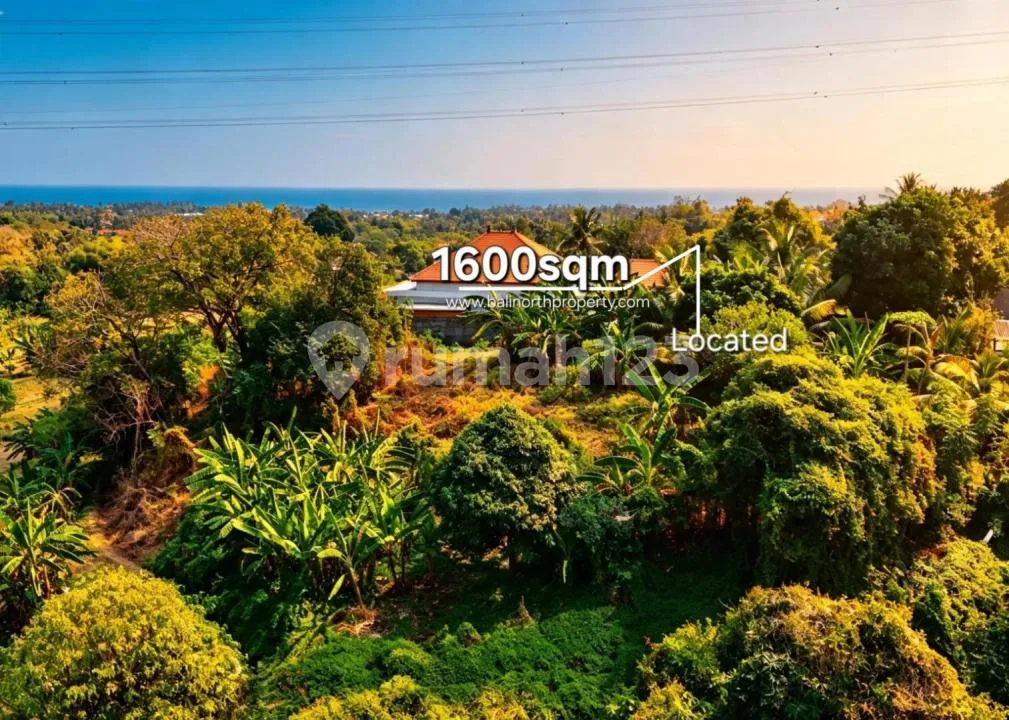 Dijual Tanah SHM Premium - Lovina, Bali Utara - Image 3 of 4