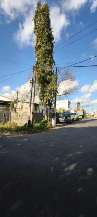 Tanah Dijual Muding Kerobokan Bali Dekat Gatsu Barat SHM - Image 4 of 4