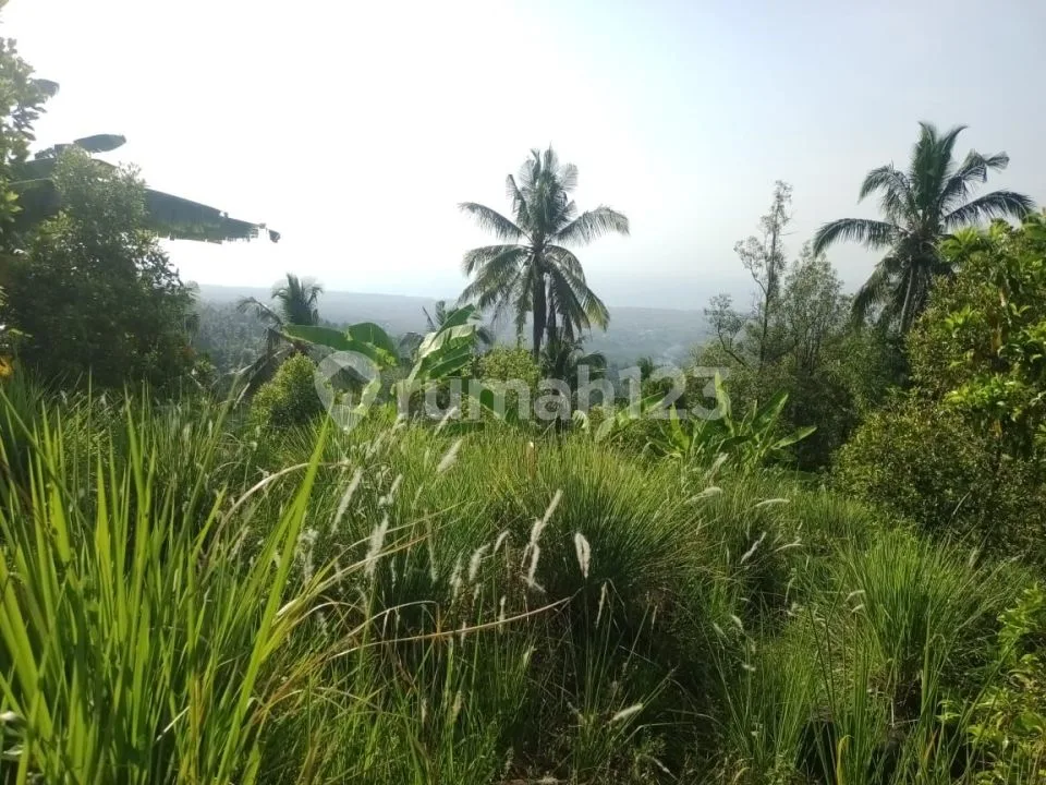 For Sale Ocean View Land In Panji Area And Many Waterfalls Around - Image 1 of 4