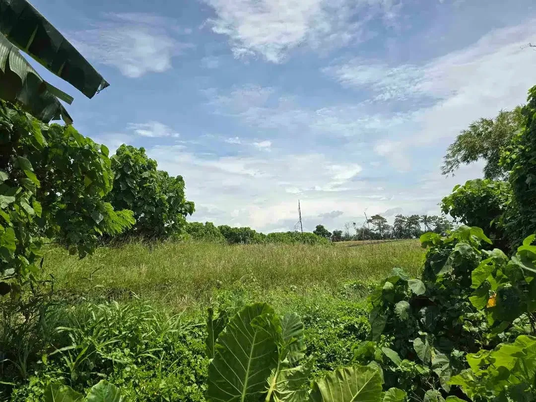 dijual tanah kecil dekat pantai pasut tabanan bali - Image 7 of 10