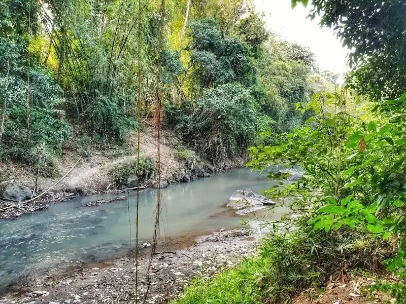 3500 land for sale in the edge or river in munggu bali - Image 2 of 7