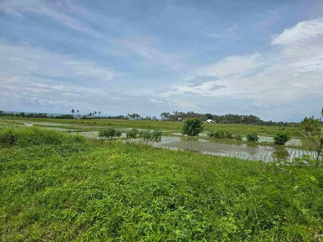 dijual tanah kecil view laut sawah di pantai pasut tabanan bali - Image 6 of 10