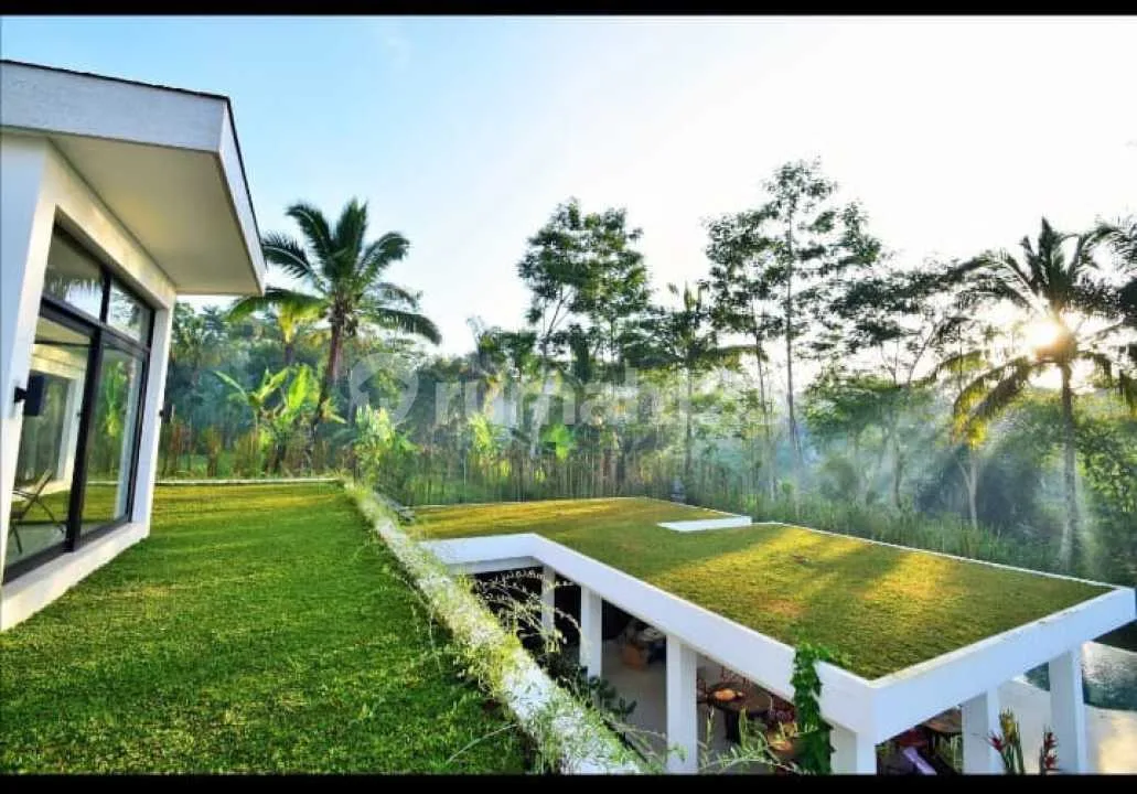 Dijual Cepat Villa Modern View Lembah di Ubud, Gianyar - Image 2 of 4