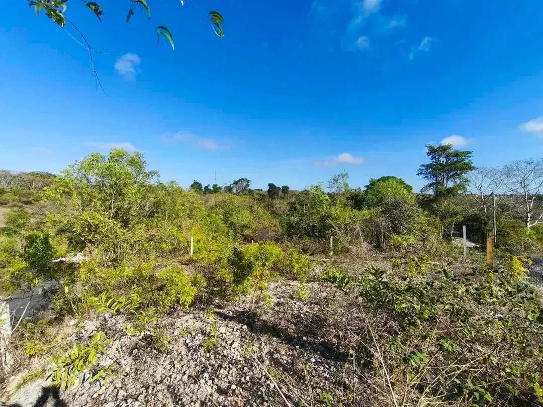 Tanah Ocean View MURAH Jl Melang Kaja Ungasan - Image 7 of 10