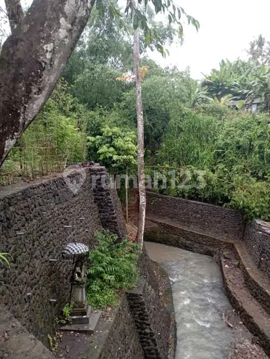 Tanah Dekat Pantai Kedungu Belalang Shm 780.0 MÂ² - Image 2 of 4