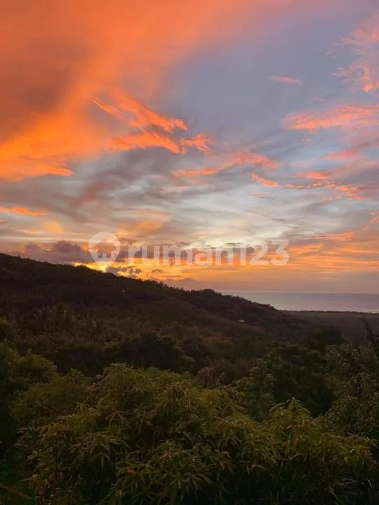 Villa Luas View Sunrise Dekat Pantai Ada Pool Furnished di Lovina - Image 2 of 4