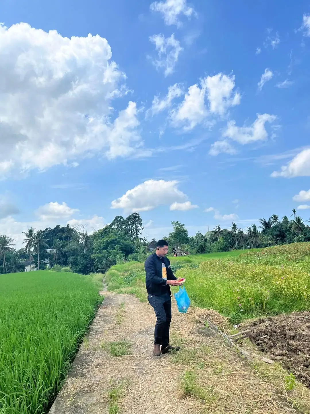Dijual Tanah Ubud 350 m2 sangat strategis View Sawah Aktif - Image 3 of 10