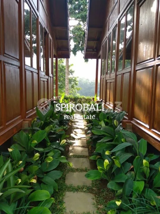 Wooden Joglo Villa Payangan Ubud Beautiful Jungle View - Image 2 of 4