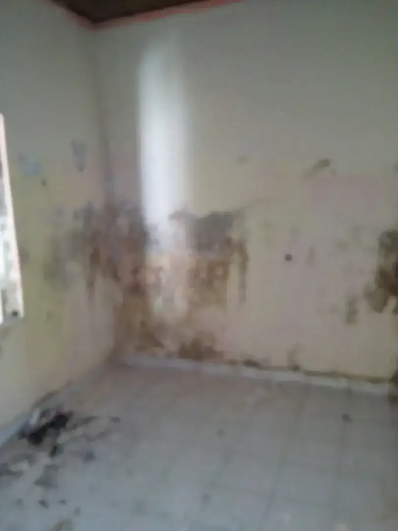 Tukang Renovasi rumah, bila dan hotel - Image 10 of 10