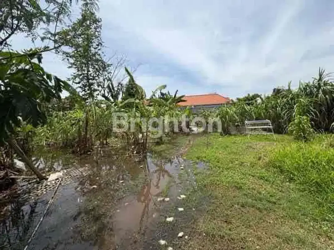 7,15 ARE LEASEHOLD LAND IN SANUR BEACHSIDE WITH PRIVATE ENTRANCE - Image 3 of 6