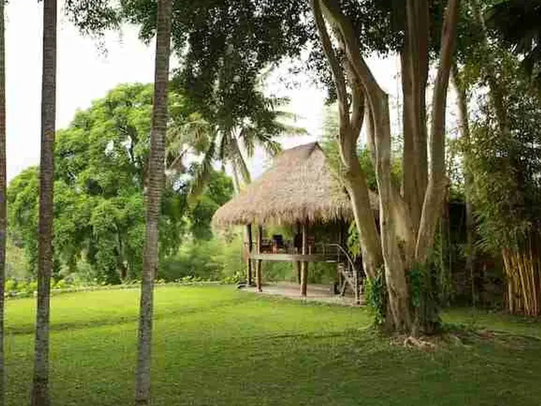 Villa Mewah Ubud dengan Taman Luas dan Akses Privat - Image 9 of 10