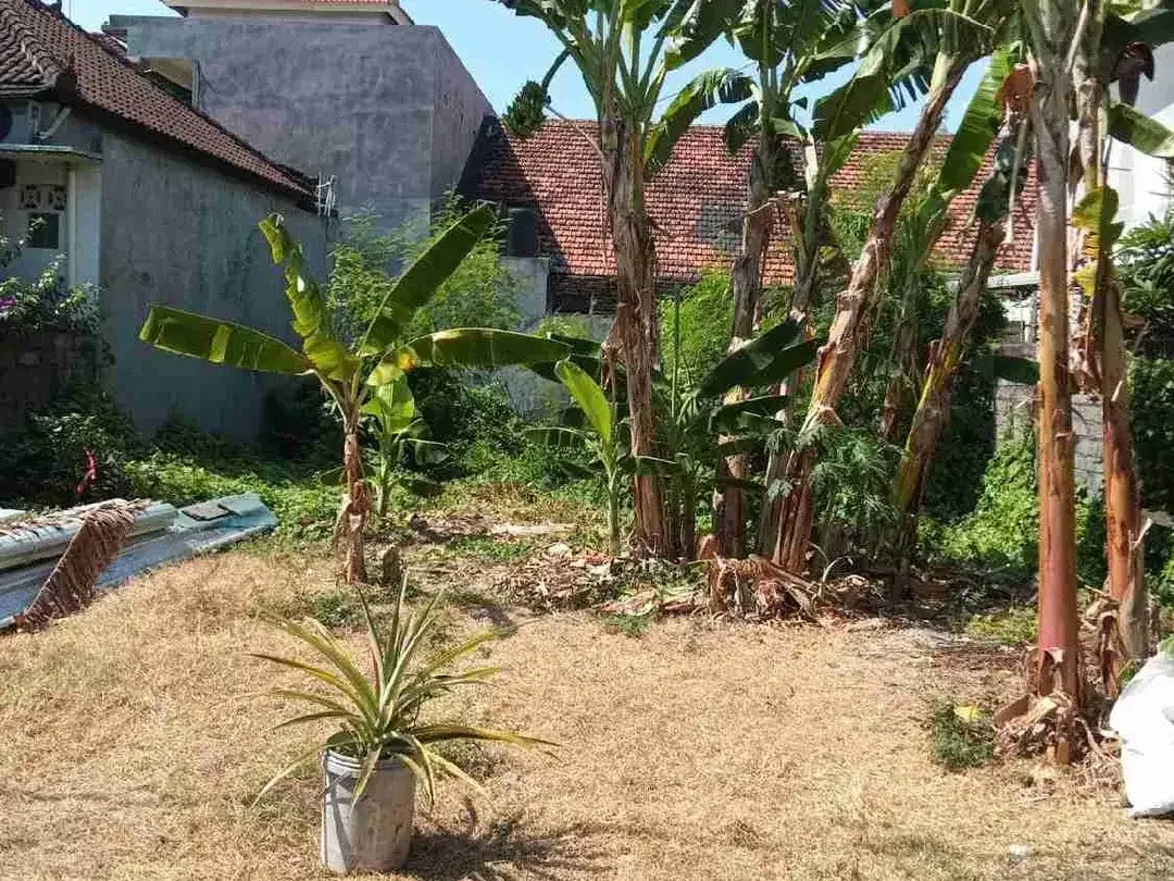 Jual Tanah Luas 2area/200m² Jl Akasi Hayam Wuruk Denpasar timur area Hunian yg Strategis. - Image 3 of 3